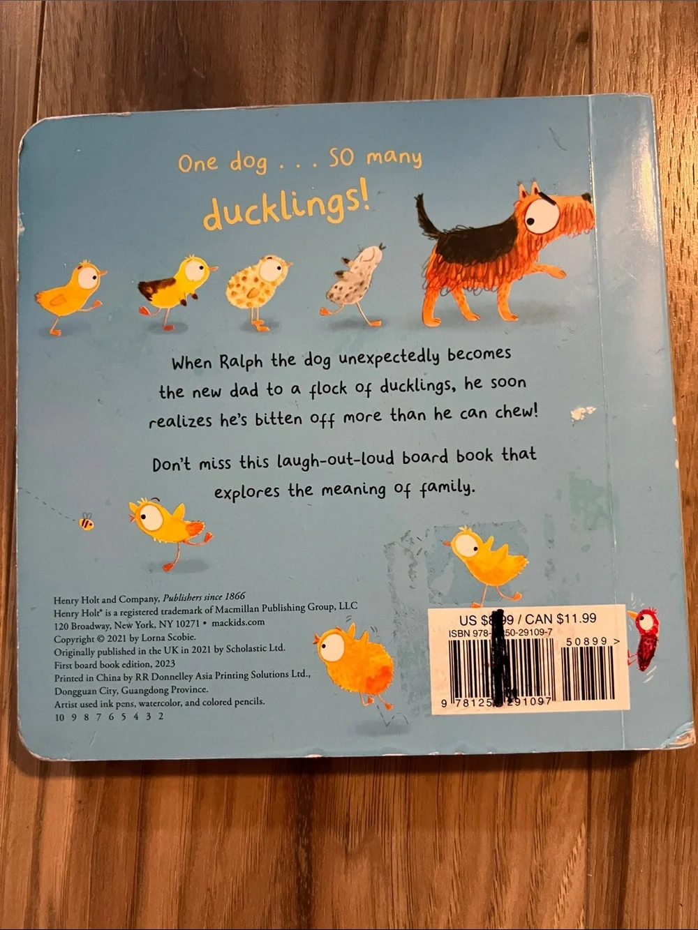 Duck, Duck, Dad? Board Book - Blue